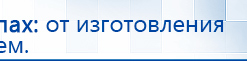 Электрод Скэнар - лицевой двойной Пешки купить в Троицке, Электроды Скэнар купить в Троицке, Медицинский интернет магазин - denaskardio.ru